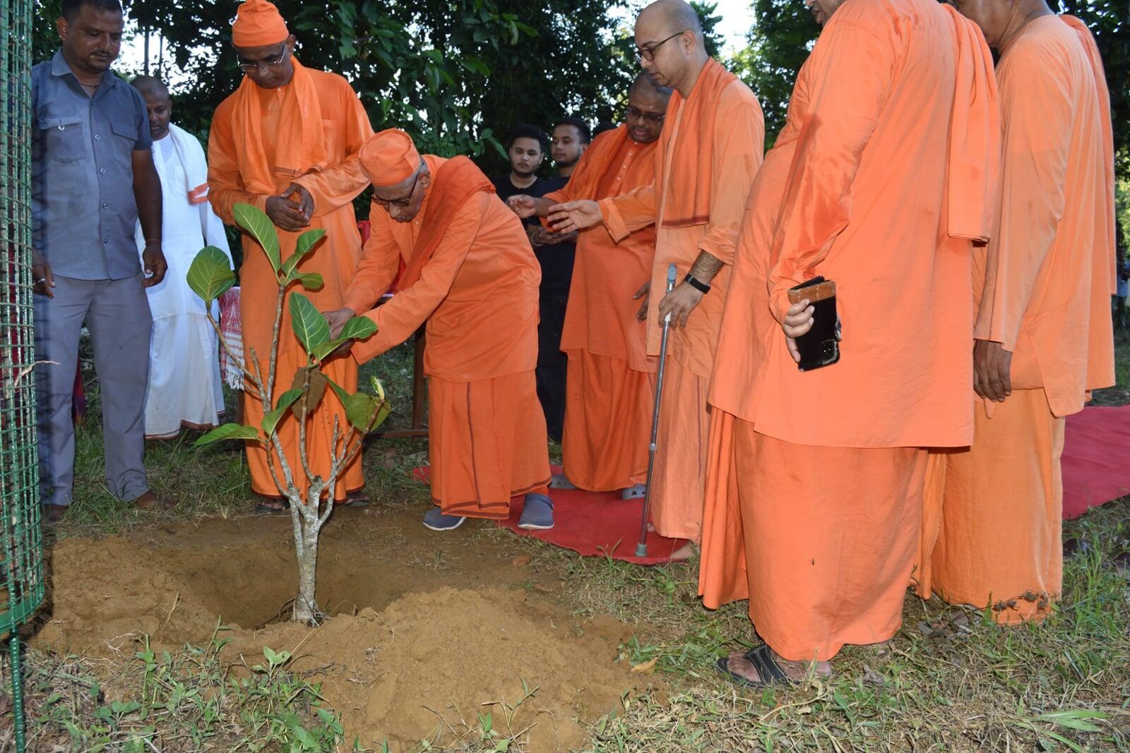Banyan Plantings - 23 July 2025